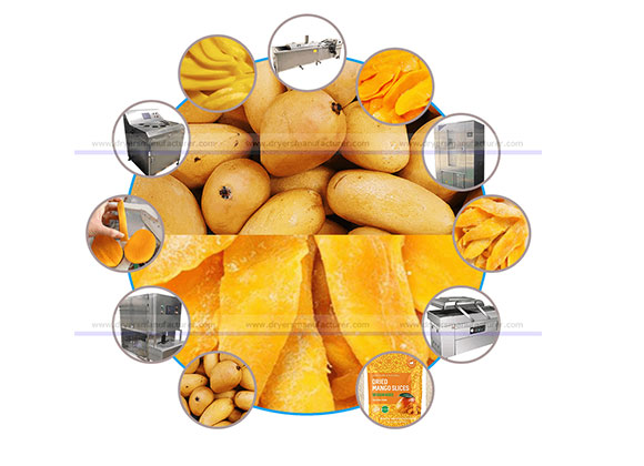 Fiji client prepaid for Drying Machines 