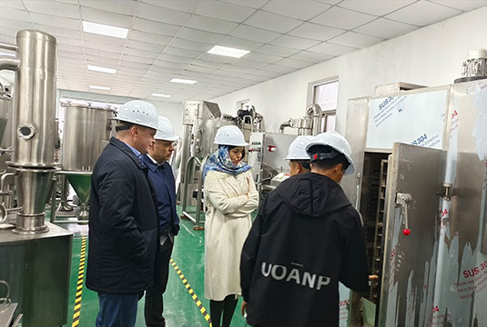 powerful strength chicken cage supplier