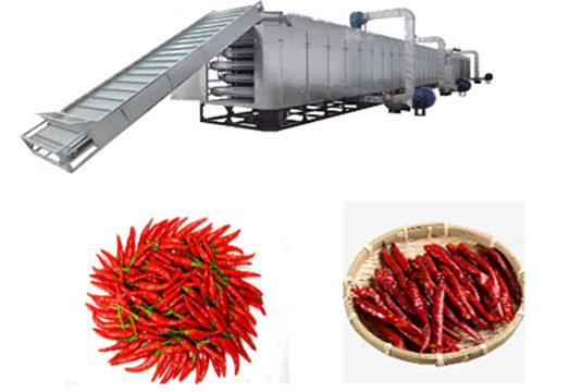 premium quality chicken cage supplier