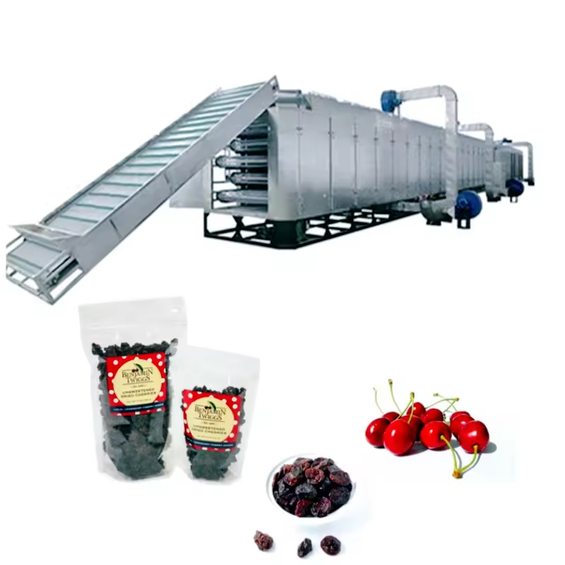 Fruit Fish Drying Machine Food Dryer Multi-layer Hot Air Circulating Drying Oven Stainless Steel High Efficiency Multi-function